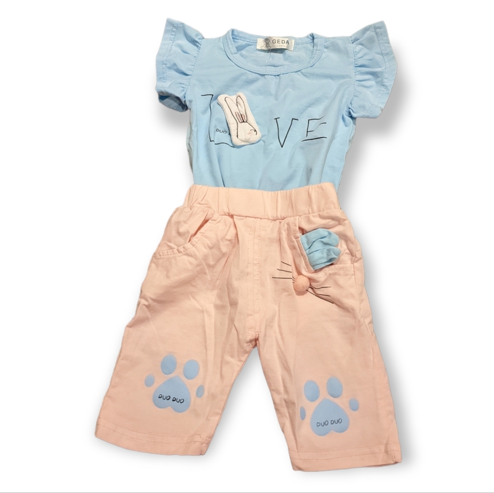 Pink and Blue T-Shirt Pants Bunny Rabbit Set, Sz 12 Months